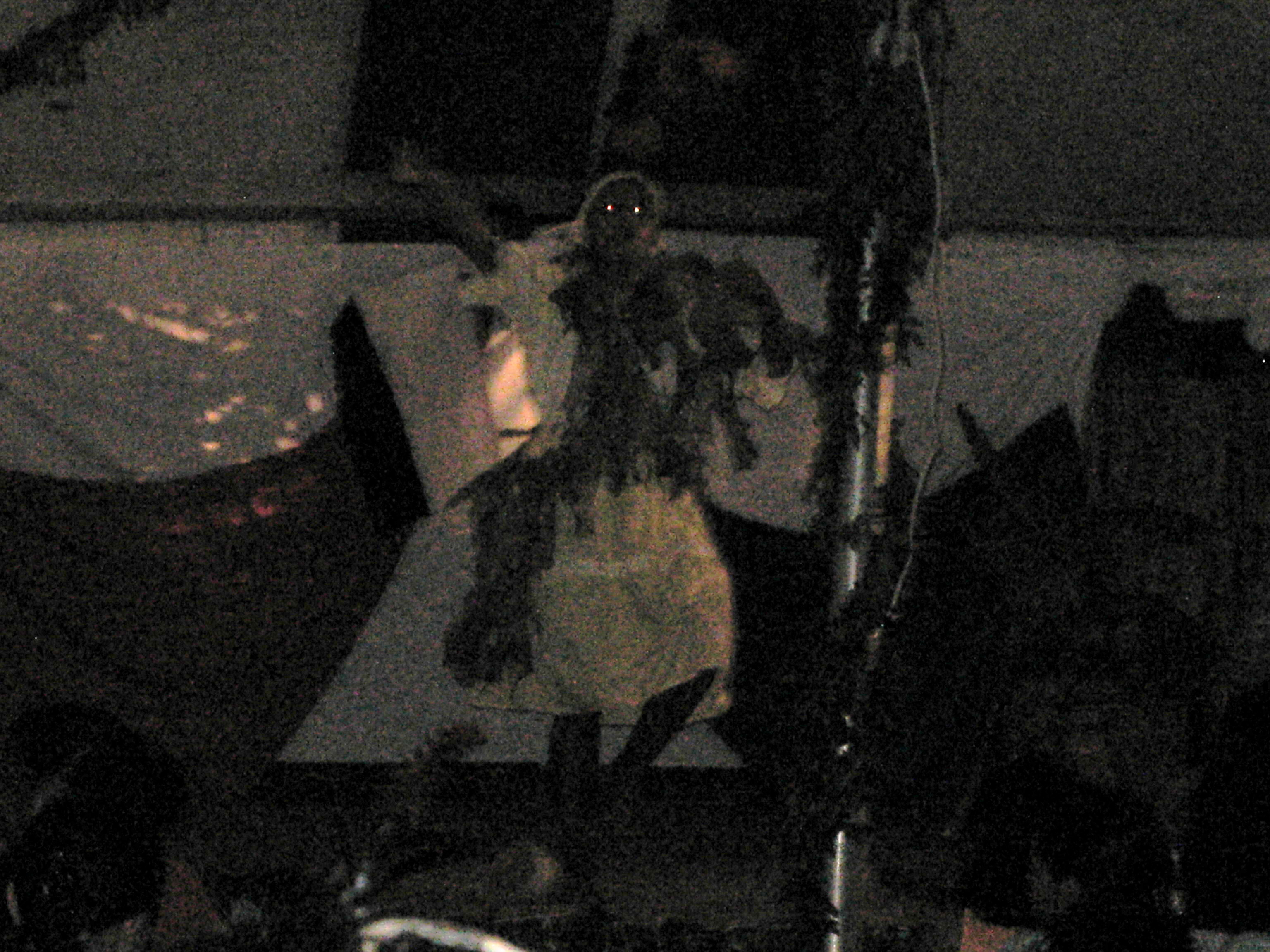 Garifunda Dancer